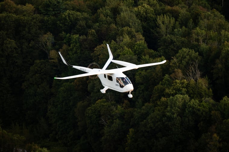 alia over the forest