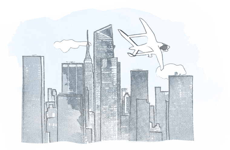 A sketch of ALIA over NYC