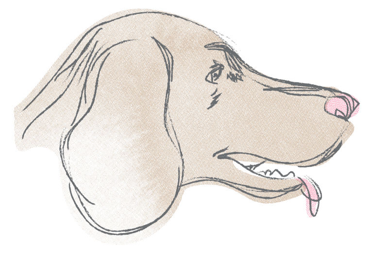 A sketch of Whiskey the dog